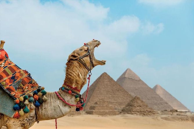 Private ViP all-inclusive Giza Pyramids,Sphinx,Inside Pyramid - Stop by stop at Giza: what each part gives you (and what can slow you down)
