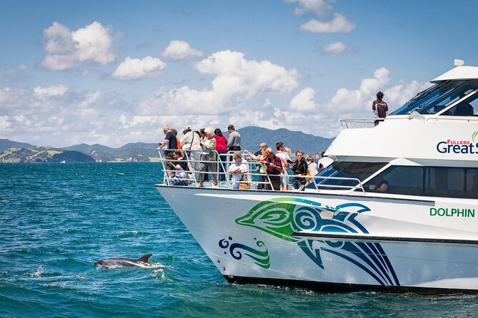 Private Yacht Cruise to Dolphin House with Lunch : Hurghada - Two Snorkeling Stops in the Red Sea, Not Just One