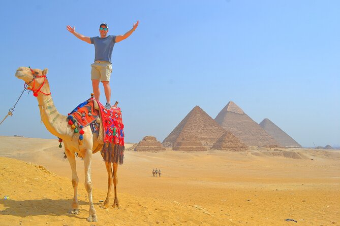 Pyramids of Giza half-day tour - Where you start at the Giza ticket office