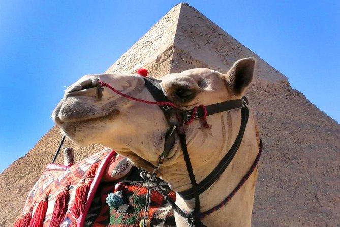Pyramids of Giza & Saqqara complex - Cairo to the Giza Plateau and Saqqara: a smart one-day route