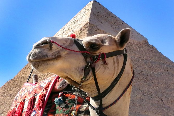 Pyramids of Giza, the Sphinx, the Egyptian Museum. - What you get for $160, and why the guide is the real value