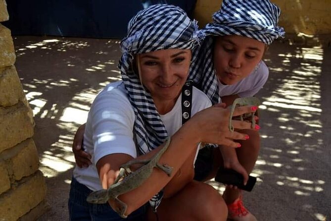 Quad 3 hours VIP safari adventure Hurghada - Who this suits best, and who should skip it