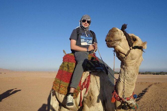 Quad Biking Safari-Camel Ride-Bedouin Dinner and Shows From Sharm - Bedouin dinner and entertainment shows: what you get and what to watch