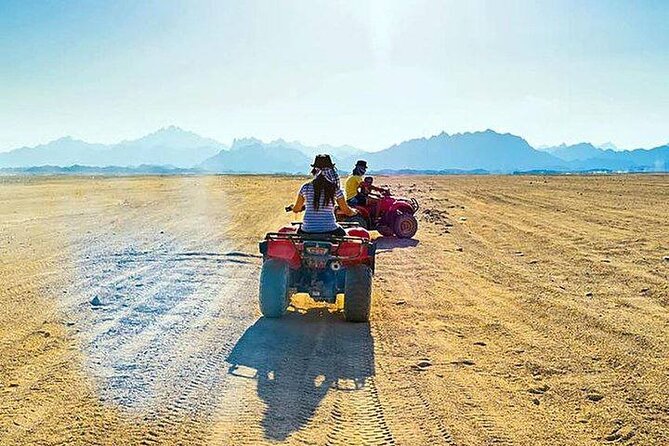 Quad Biking Safari-Camel Ride-Bedouin Dinner and Shows From Sharm - Price and value: why this package can be a bargain
