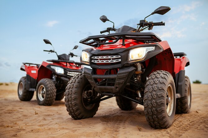 Quad Safari, Parasail, Glass Boat Experience in Sharm El Sheikh - Bedouin village visit: camel ride and traditional tea stop