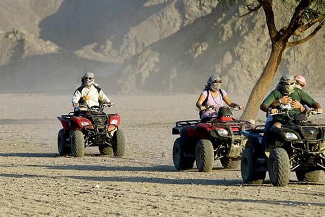 Quad with Camel Ride & Bedouin village From Marsa Alam - Key things to know before you go