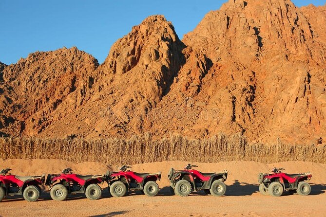 Quad with Camel Ride & Bedouin village From Marsa Alam - Bedouin Village Stop and Camel Ride: More Tea, Less Pressure
