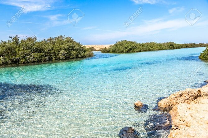 Ras Mohamed and White Island Snorkeling Trip and One Stop Diving-Sharm El Shiekh - A Sharm el Sheikh day on the water, starting at 8:00am