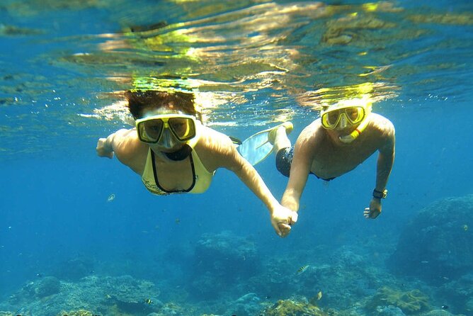 Ras Mohamed and White Island Snorkeling Trip and One Stop Diving-Sharm El Shiekh - Who this trip is best for, and who should think twice