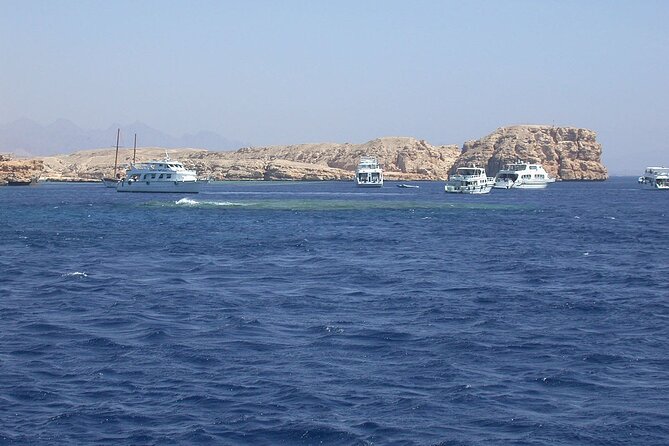 Ras Mohamed and White Island Snorkeling Trip and One Stop Diving-Sharm El Shiekh - Should you book this Ras Mohamed and White Island snorkeling and scuba stop?