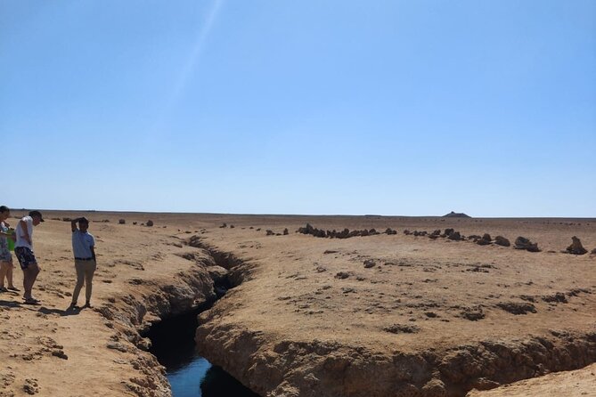 Ras Mohamed National Park Half Day Tour by Bus In Sharm El Sheikh - Entering Ras Mohamed: Stone Gate, Viewpoints, and Earthquake Crack