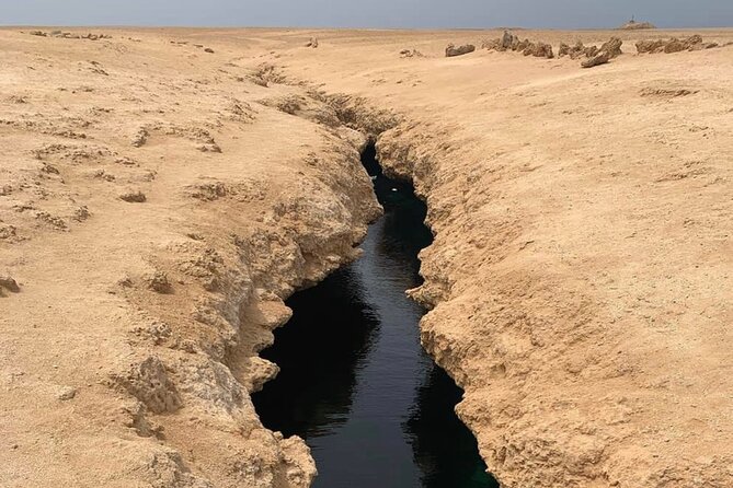Ras Mohamed National Park Half Day Tour by Bus In Sharm El Sheikh - Magic Lake Swimming: The Break That Makes the Day Feel Worth It