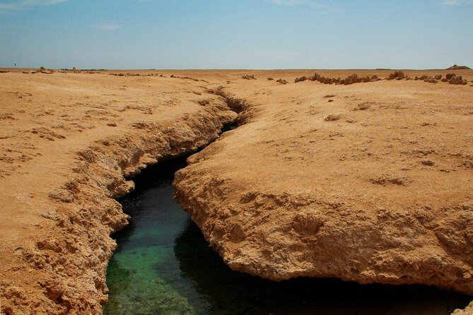 Ras Mohamed National Park Half Day Tour by Bus In Sharm El Sheikh - Coral Gardens Shore Snorkeling and Allah’s Garden Reef
