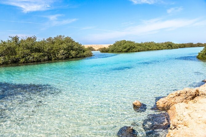 Ras Mohamed National Park Half Day Tour by Bus In Sharm El Sheikh - Allah Gate Photo Stop, Mangroves Again, and the In-Between Moments