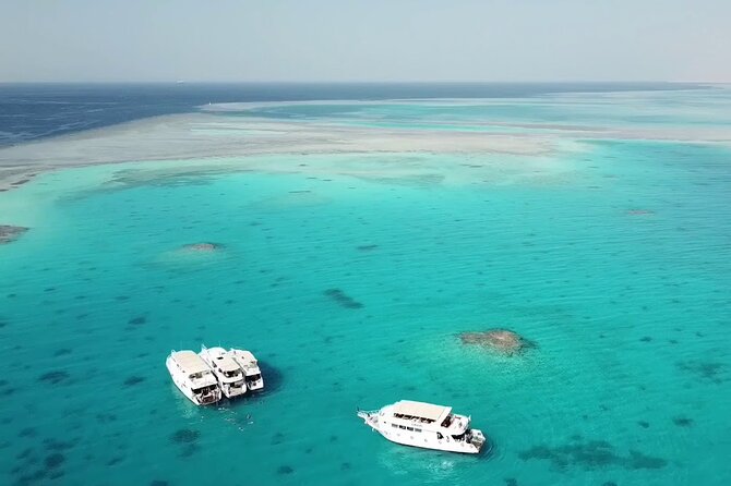 Ras Mohamed & White Island from Sharm El Sheikh by boat - Ras Mohamed stop 1: your first look at coral and fish