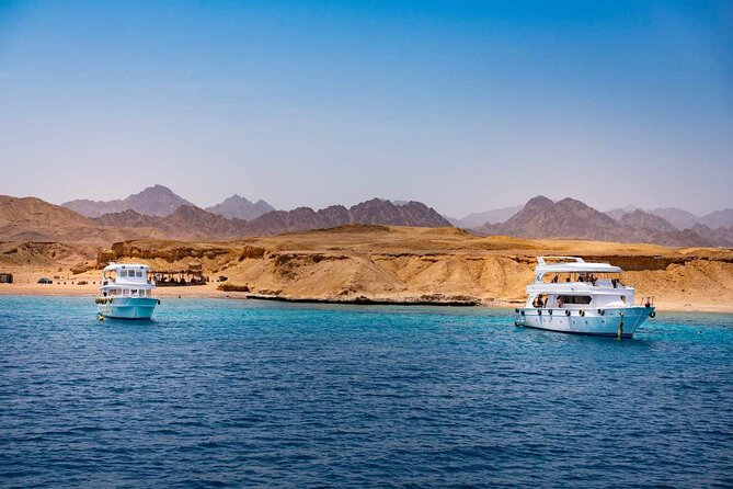 Ras Mohammed and White Island Snorkeling Sea Trip with Lunch - Key things to know before you go
