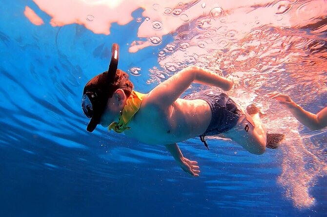 Ras Mohammed and White Island Snorkeling Sea Trip with Lunch - Snorkeling stops: how to make your water time count