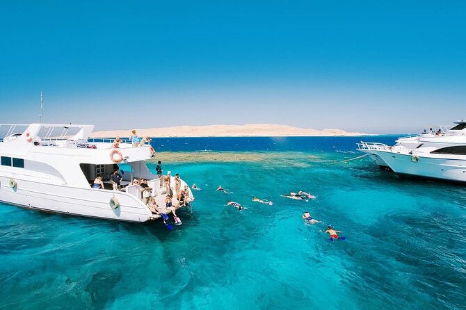 Ras Mohammed and White Island Snorkeling Sea Trip with Lunch - Logistics that can make or break your comfort