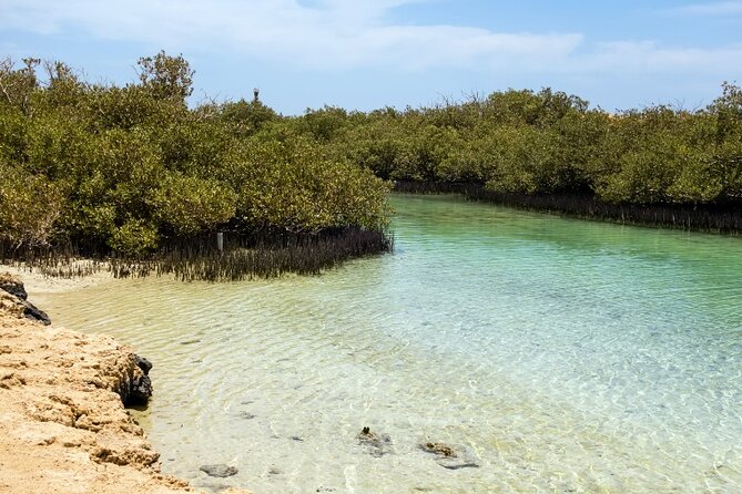 Ras Mohammed national park by bus + Snorkeling - Should You Book This Ras Mohamed by Bus + Snorkeling Tour?