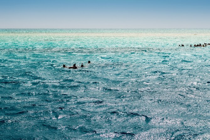 Ras Muhammed & White Island Snorkeling Sea Trip - Sharm El Sheikh - White Island: sandbank snorkeling and brighter views