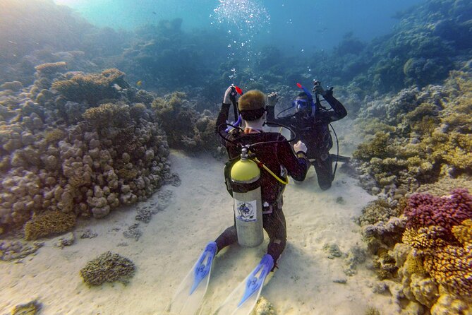 Red Sea Diving Trip from Hurghada: Beginner to Advanced Divers - Equipment Provided: A Small Detail That Changes Your Stress Level