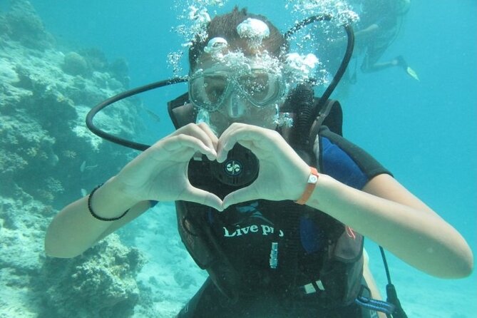 Red Sea Diving Trip from Hurghada: Beginner to Advanced Divers - The Instructor Factor: Patient Coaching Shows Up Over and Over
