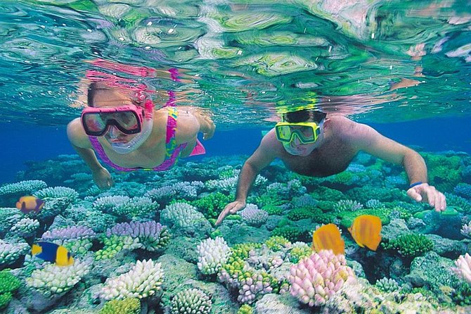 Red Sea Snorkeling from Hurghada - The 9:00 AM day plan, from hotel pickup to returning home