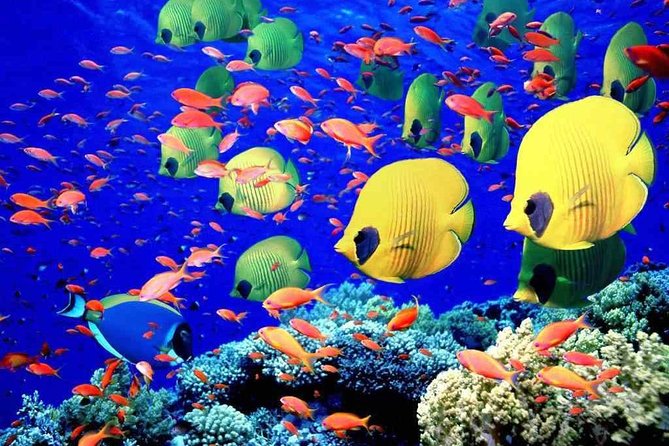 Red Sea Snorkeling from Hurghada - The boat ride experience: more than just transport
