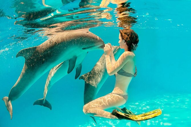 ROYAL Dolphin House & Water Sports Snorkeling Sea Trip - Hurghada - Getting on the boat: pickup, timing, and group size
