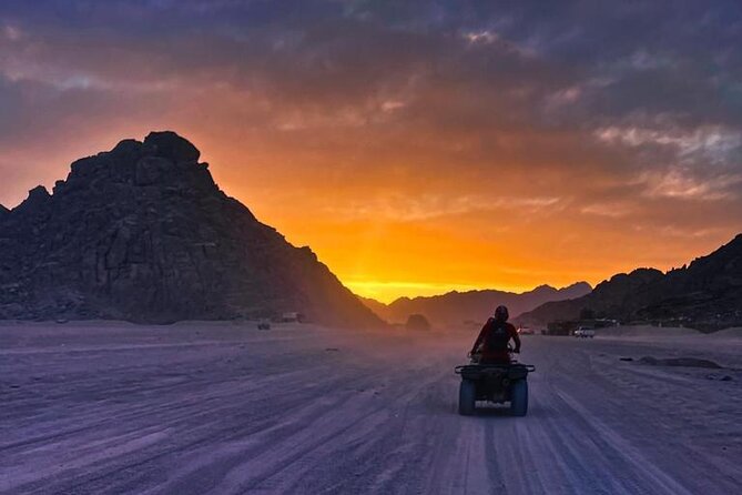 Safari 5 in 1 Quads, Camels, Show, Dinner & Star Gazing in Sharm El Sheikh - A 5 in 1 Sinai Desert Plan That Actually Stays Active
