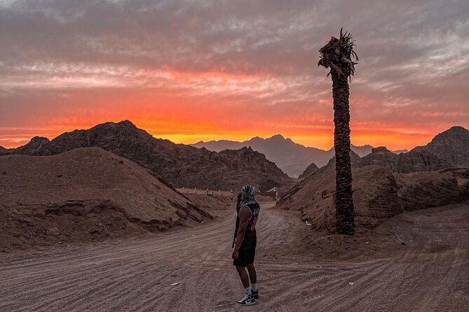 Safari 5 in 1 Quads, Camels, Show, Dinner & Star Gazing in Sharm El Sheikh - The Group Reality: Busy Starts, Shared Desert Space