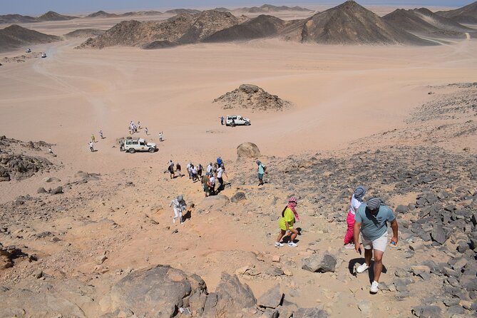 Safari ATV, Buggy, Camel, Bedouin Dinner and Hurghada Show - Dinner under the stars: belly dance and the fire show payoff