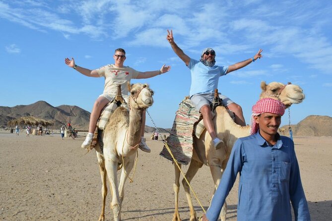 Safari ATV, Buggy, Camel, Bedouin Dinner and Hurghada Show - Who this Hurghada desert combo fits, and who might skip it