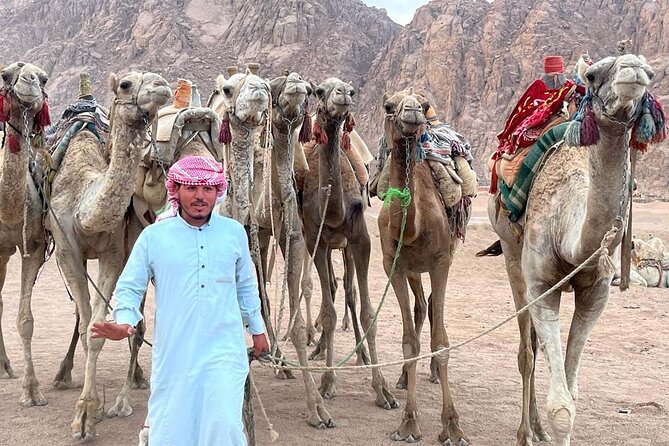 Safari Quad Bike Adventure, Camel, Show, Dinner & Stargazing - Quad biking on the sands, plus that echo stop