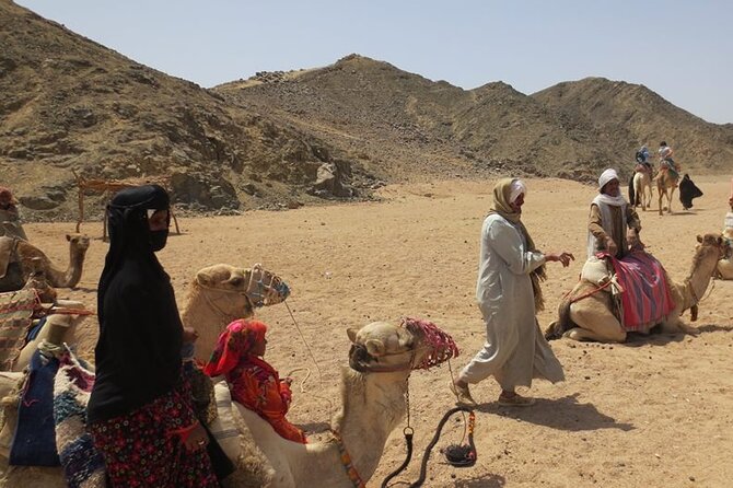 Safari quad, jeep, camel ride, show and dinner Hurghada - The Jeep Ride Toward the Bedouin Village