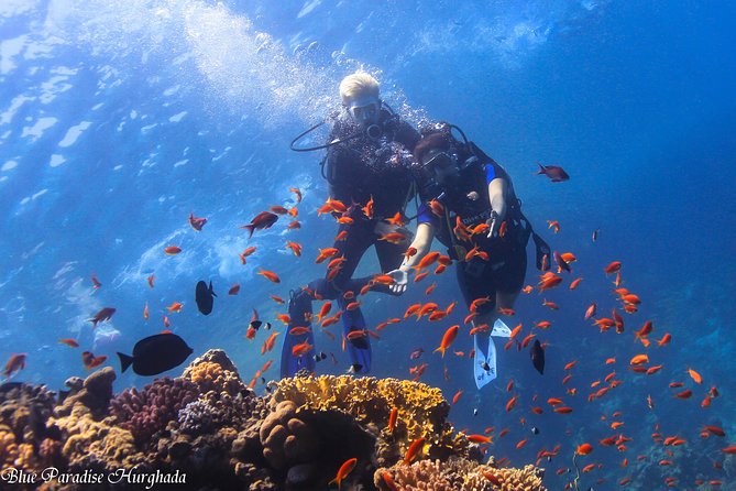 Safe Try dive-Personal instructor, 1:1 experience, Top boat - A 1:1 First-Timer Scuba Try-Out, Without the Rush