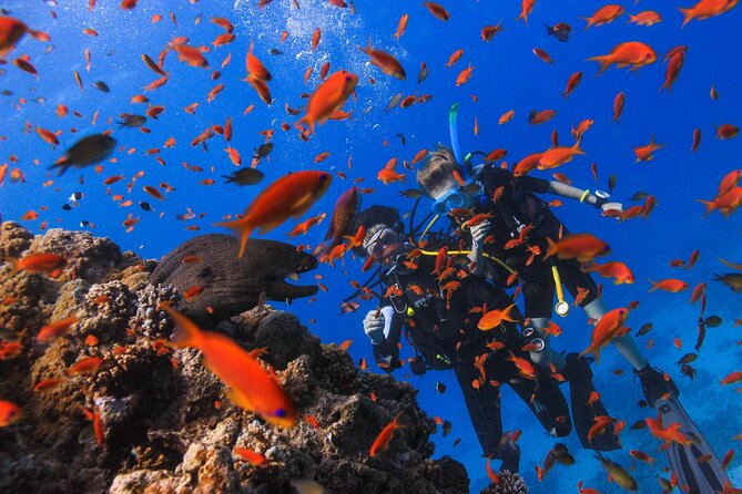 Safe Try dive-Personal instructor, 1:1 experience, Top boat - Lunch on Board, Drinks for a Small Fee, and Keeping Your Energy Up