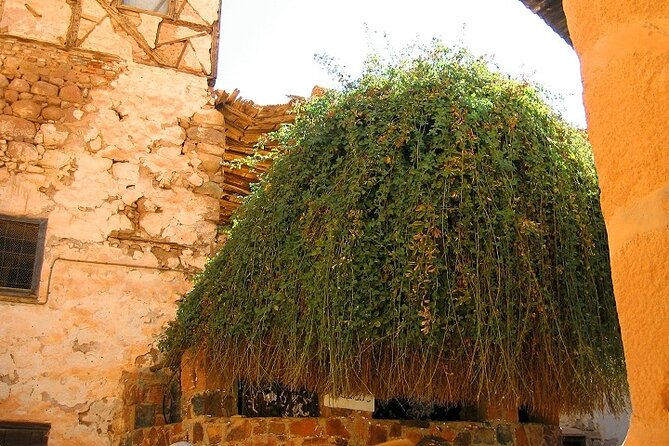 Saint Catherine's Monastery And Dahab Day Tour - Sharm El Sheikh - Dahab after the monastery: lunch, shopping, and that Flower Power vibe