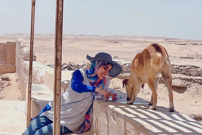 Saqqara, Dahshur - 10%to stray dogs and cats - Saqqara’s pyramid city: Djoser to Unas, with Kagemni and the Serapeum