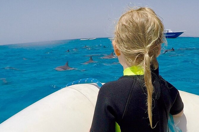 Sataya Dolphin House Snorkel Trip - Marsa Alam - Second reef stop: coral color and fish spotting without a checklist