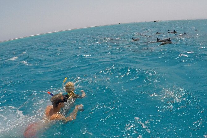 Sataya Dolphin House Snorkel Trip - Marsa Alam - Equipment, guides, and safety for first-timers