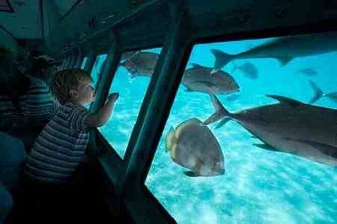 Sea Scope Cruise with Snorkeling Adventure in Hurghada - The underwater deck experience: panoramic views about 3 meters down