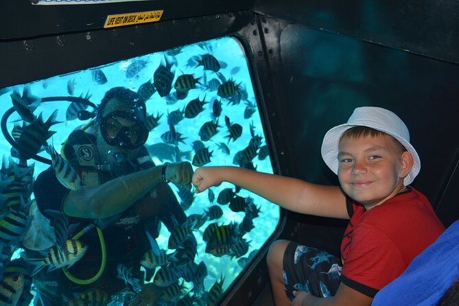 Semi Submarine Tour 2 Hours With Transfer - Sharm El Sheikh - Coral viewing reality check: great fish, and sometimes mixed coral