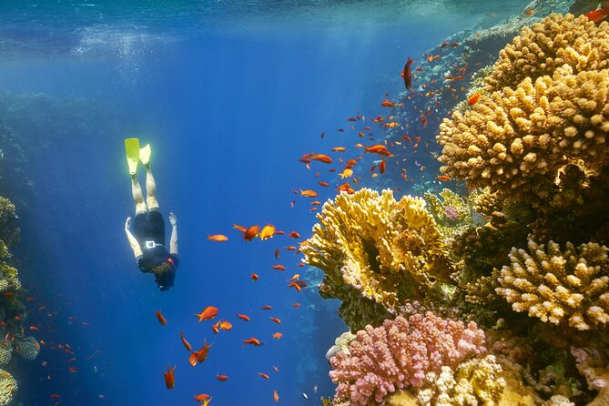 Sharm El Sheikh: Colored Canyon Jeep Tour with Blue Hole & Dahab - Dahab shopping stop: one hour for souvenirs, not a full afternoon