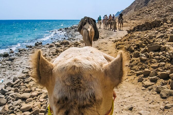 Sharm El Sheikh: Colored Canyon Jeep Tour with Blue Hole & Dahab - Pickup and transport: why the day can feel bus-heavy