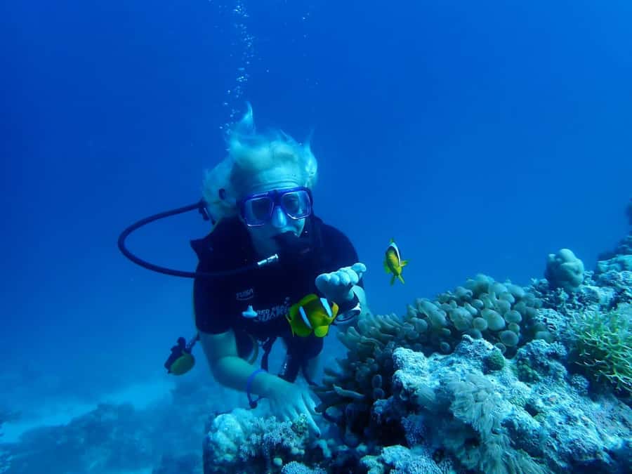 Sharm El Sheikh: Day sail to White island and Ras Mohamed - Key things that make this trip worth your time