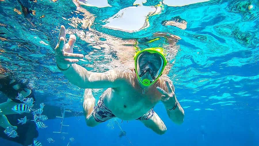 Sharm El Sheikh: Day sail to White island and Ras Mohamed - Snorkeling around Sharm El Sheikh: two reef stops and how the guides keep you confident