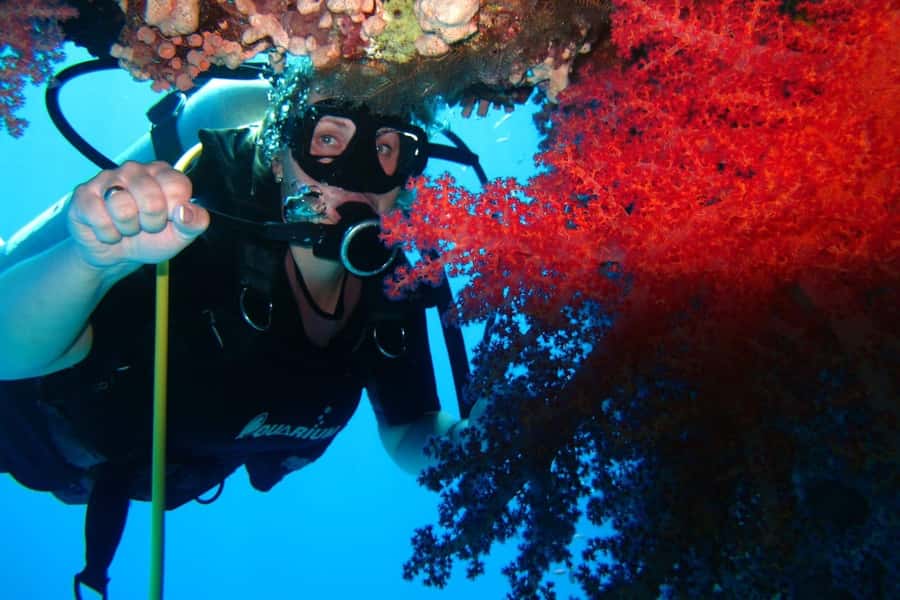 Sharm El Sheikh: Day sail to White island and Ras Mohamed - Logistics that can save you stress: pickup, tickets, and what to ask