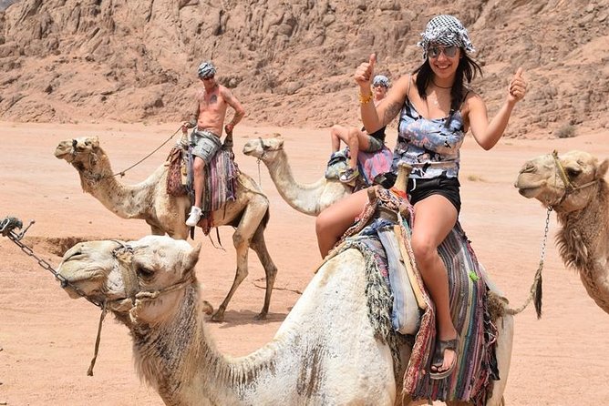 Sharm El Sheikh Desert Adventure (5X1) - How the pickup and desert transfer actually shape your night
