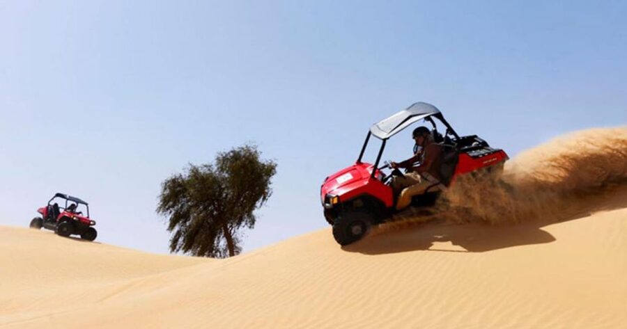 Sharm El-Sheikh: Desert Buggy Safari Adventure - Should you book the Sharm El-Sheikh desert buggy safari?